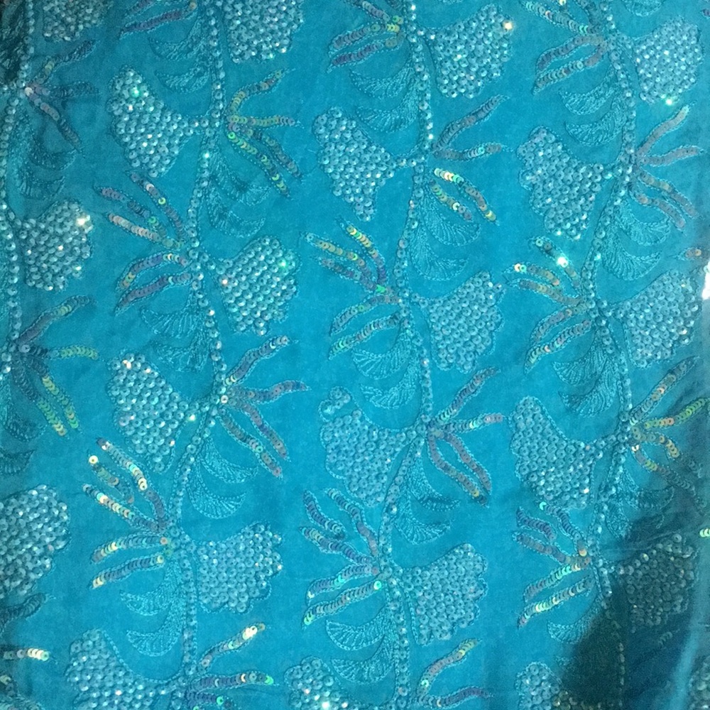 Turquoise Indian sari